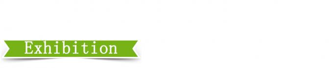 Pressa di vulcanizzazione a piastre ad alta precisione di controllo 25T 4