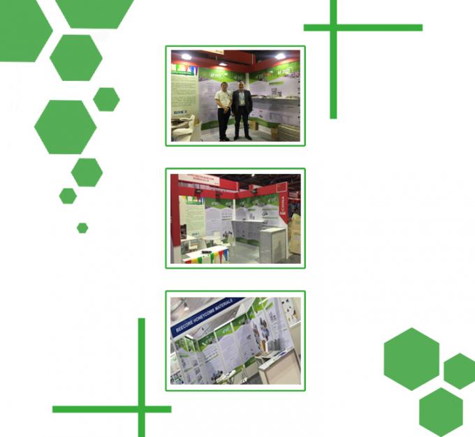 Pressa di vulcanizzazione a piastre ad alta precisione di controllo 25T 5