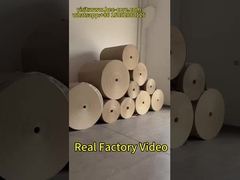 Fabbrica di produzione di pannelli a nido di miele