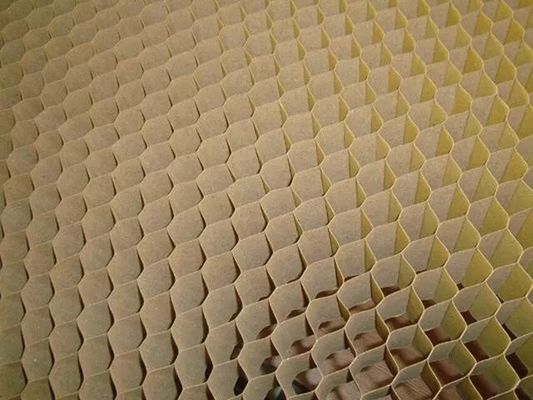 OEM ODM Paper Honeycomb Core per porta con dimensioni di cella 20 mm