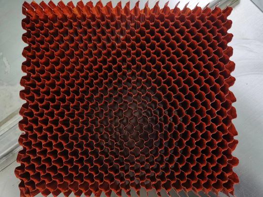Densità 56 Flessibile Nomex Honeycomb Core Con Pium Blossom Cella dimensione per l'aviazione