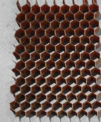 Fibra di vetro di tessuto Honeycomb Core applicabile nei prodotti elettronici