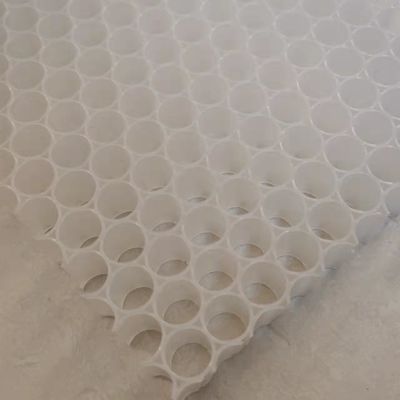 Paddle di pickleball in plastica in plastica 1220x2440 mm