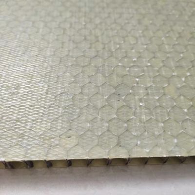 Peso leggero pannello sandwich in FRP Honeycomb 1000x2000mm